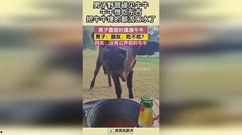 牛牛碰在线免费视频,畅享欢乐时光，尽在指尖