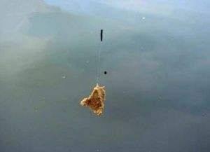 散炮钓鱼视频教程,视频教程带你轻松掌握