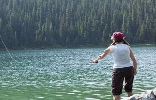 散炮钓鱼视频教程,视频教程带你轻松掌握