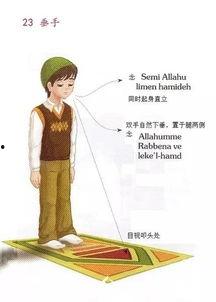 女子礼拜视频,探寻信仰之光下的虔诚与和谐