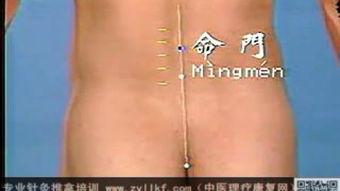 取穴视频,轻松掌握取穴技巧