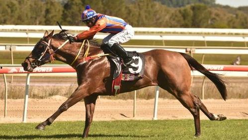 赛马视频大全,视频大全中的速度与激情瞬间