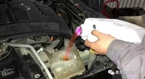 换防冻液视频,视频教学助你一臂之力