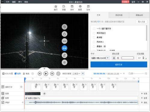 视频编辑文字软件,打造视觉盛宴的得力助手